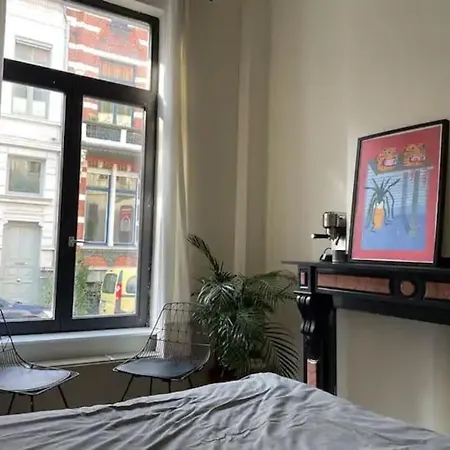 Apartment Gezellig Gerenoveerd Herenhuis In Het Centrum Antwerpen